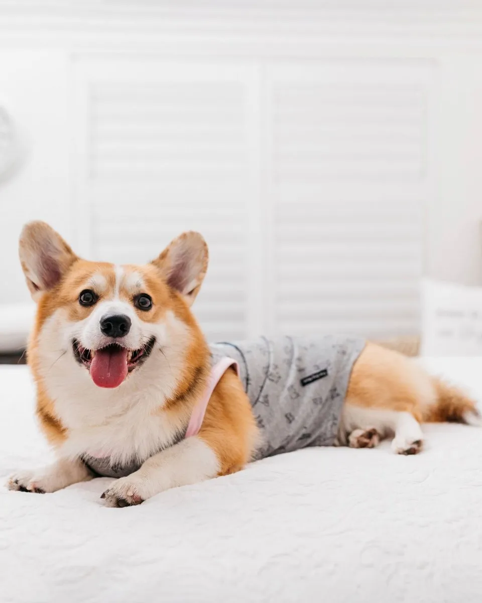 Breed Illustration Dog T-Shirt