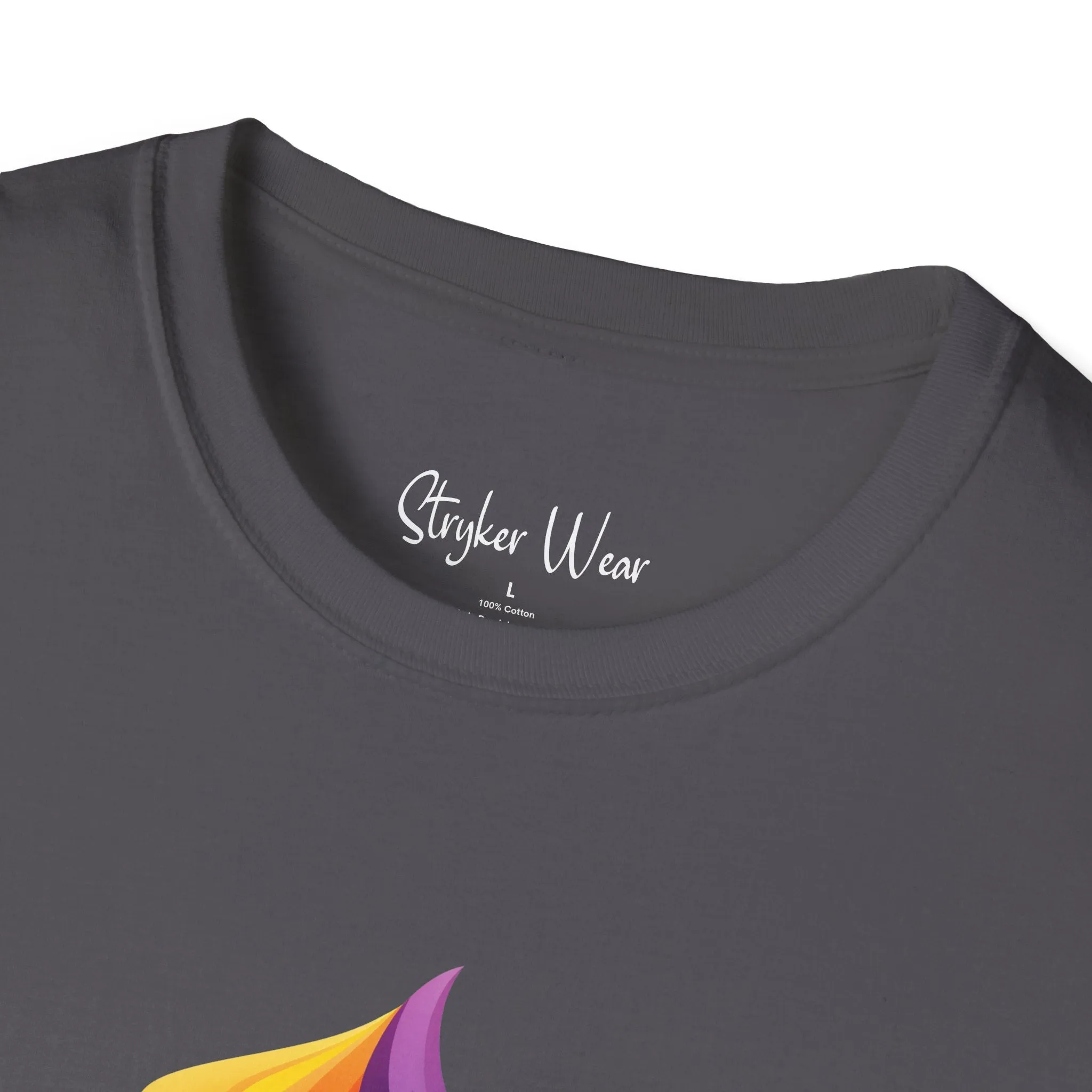 Colorful Swirl | Unisex Softstyle T-Shirt