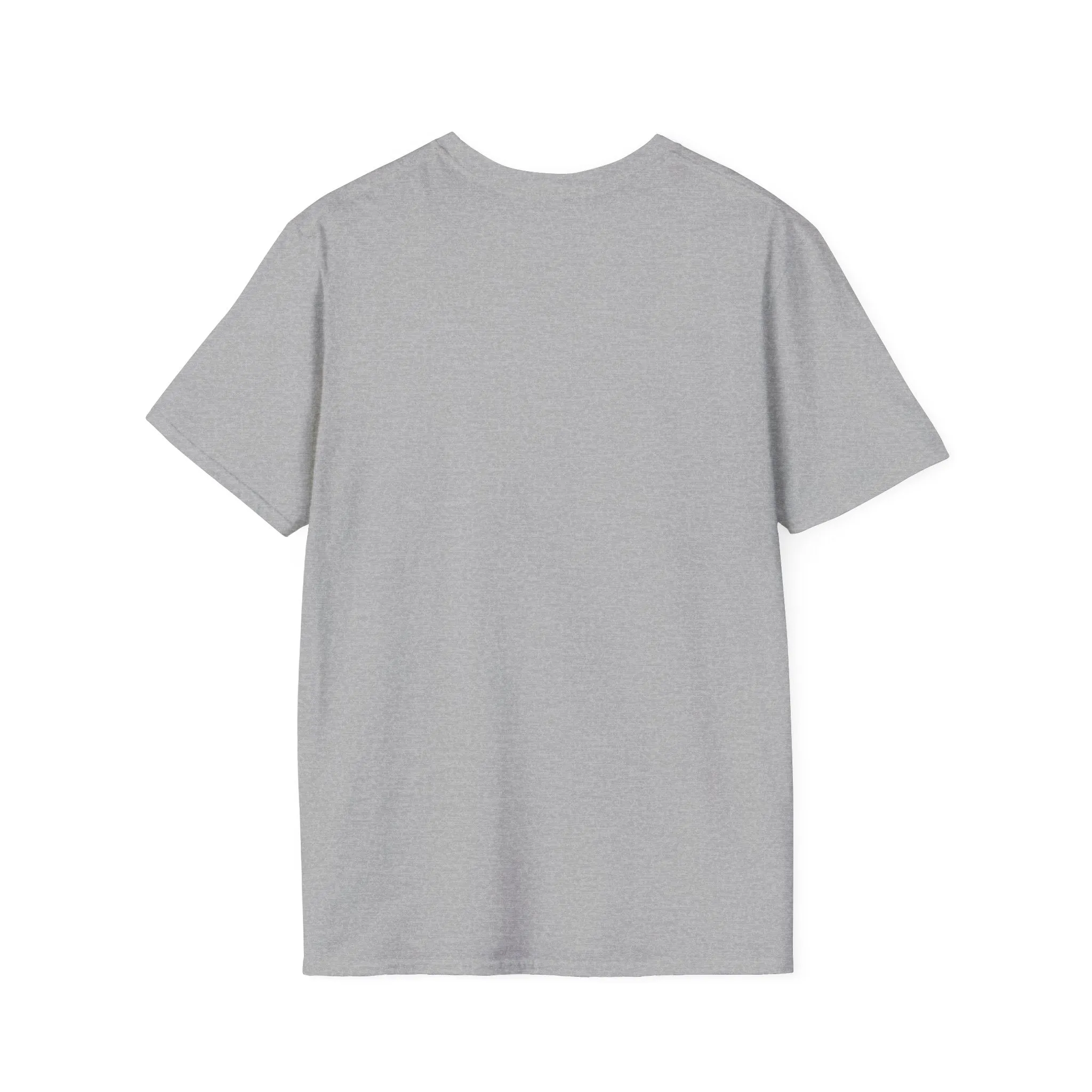 Colorful Swirl | Unisex Softstyle T-Shirt