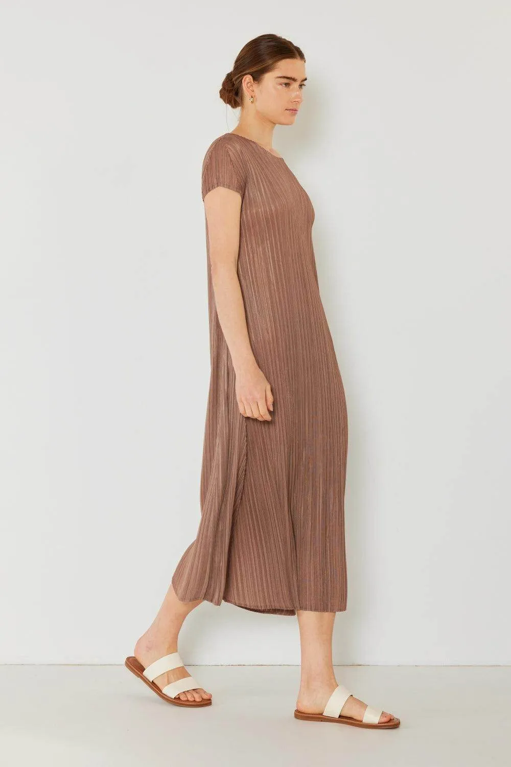 Pleated Cap Sleeve A-Line Dress